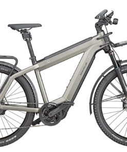 Riese und Müller Supercharger2 GT rohloff GX silber Dualbattery Doppelakku eBike Elektrorad 2020