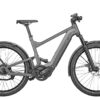 Riese und Müller Delite GT vario Urban Grey Vollgefedert eBike Elektrorad S-Pedelec 45 km/h 2020