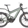 Riese und Müller Superdelite GT Rohloff HS Tundra Grey Vollgefedert eBike Elektrorad S-Pedelec 45 km/h Doppelakku DualBatt 1000 Wh 2020