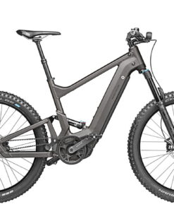 Riese und Müller Delite mountain rohloff urban grey matt Vollgefedert eBike Elektrorad eMTB Mountainbike Fully 2020