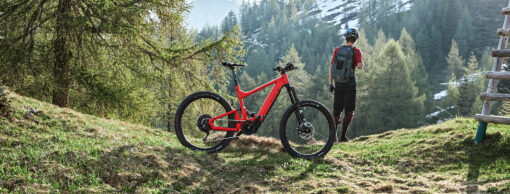 Riese und Müller Delite Mountain eMTB - Der Berg ist nicht hoch genug – Bild 3