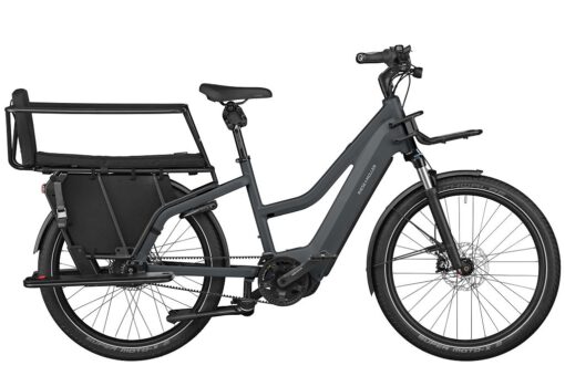 Riese und Müller Multicharger2 (Mixte) GT eBike - eBike Multitalent