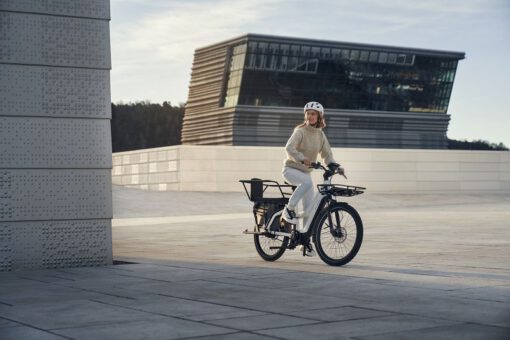 Riese und Müller Multicharger (Mixte) GT eBike - eBike Multitalent – Bild 9