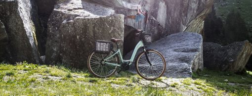 Riese und Müller Swing4 - Komfort der Moderne – Bild 7