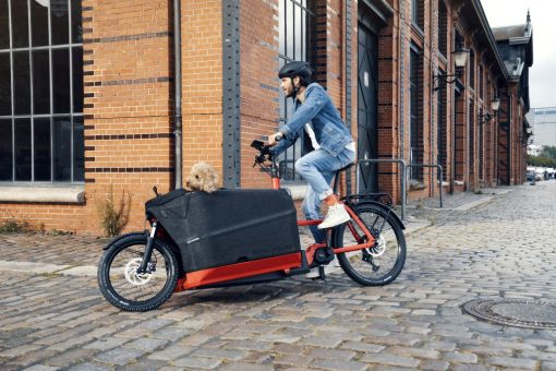 Riese und Müller Packster2 70 Lastenrad eBike - ein nachhaltiges Glück für die ganze Familie – Bild 4
