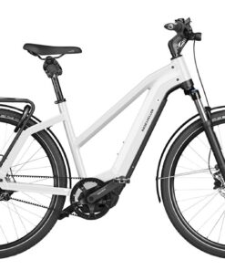 Riese und Müller Charger3 Mixte 2022 eBike - eBike mit Fahrrad Feeling