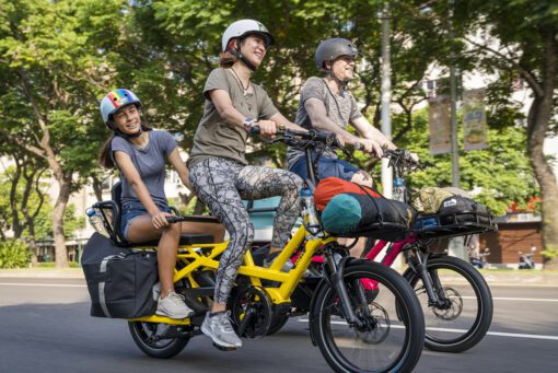 TERN GSD Lastenrad eBike - der handliche Alleskönner – Bild 8
