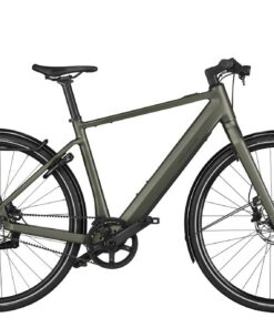 Riese und Müller UBN Five eBike - Purist mit Fazua Rückenwind