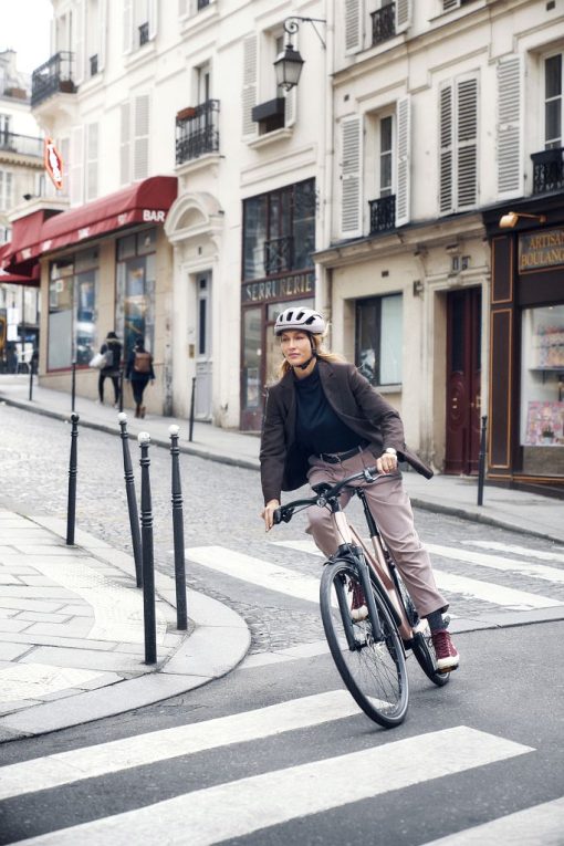 Riese und Müller UBN Seven eBike - Puristisch, Praktisch, Sauber – Bild 4