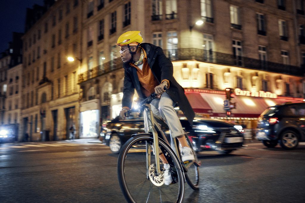 Riese und Müller UBN Five eBike - Purist mit Fazua Rückenwind – Bild 6