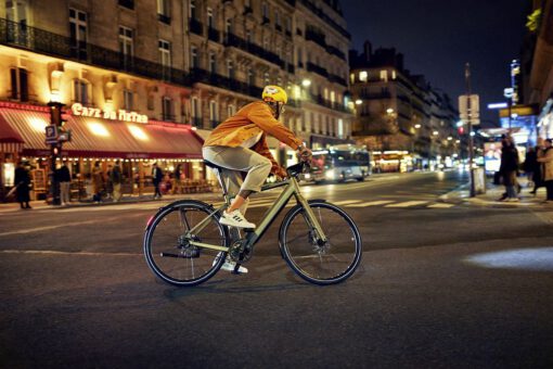 Riese und Müller UBN Five eBike - Purist mit Fazua Rückenwind – Bild 4