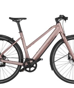Riese und Müller UBN Seven eBike - Puristisch, Praktisch, Sauber