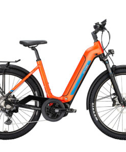 Victoria Avyon 6 Wave SUV - das All-in-One eBike