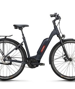 Victoria Cysalo 13 eBike - preisgünstig und wartungsarm