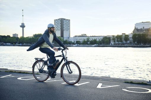 Riese und Müller Cruiser2 - genussvoll Cruisen im Retro Design – Bild 3