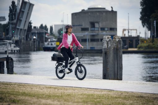 Riese und Müller Tinker2 - kleiner Allrounder – Bild 3