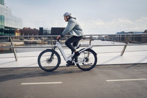 Riese und Müller Homage4 GT eBike - NonPlusUltra in Sachen Komfort! – Bild 3