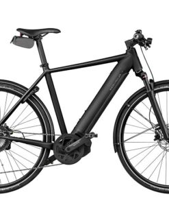 Riese und Müller Roadster4 - leicht und spritzig