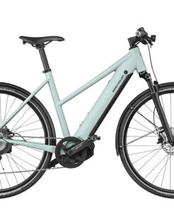 Riese und Müller Roadster4 Mixte - leicht und spritzig