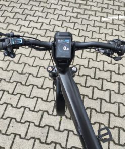 Riese & Müller Delite4 GT touring HS Gebrauchtrad S-Pedelec 45 km/h schnell top Zustand 1000 Wh display Kiox 500