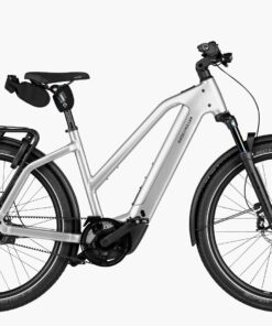 Riese und Müller Charger5 Mixte eBike - Agiler Alleskönner