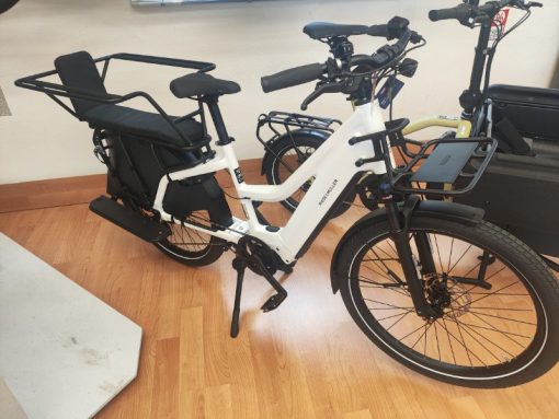 Riese und Müller Multicharger2 Mixte GT Family eBike - reduziertes Ausstellungsrad