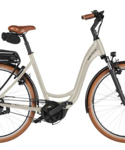 Riese und Müller Swing5 - Citybike trifft eBike