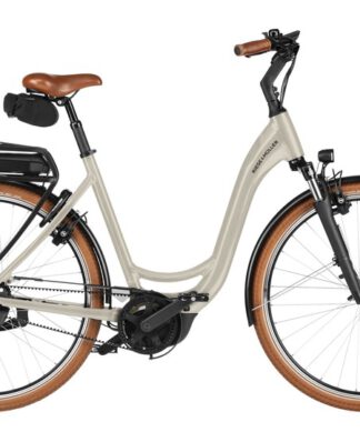 Riese und Müller Swing5 - Citybike trifft eBike