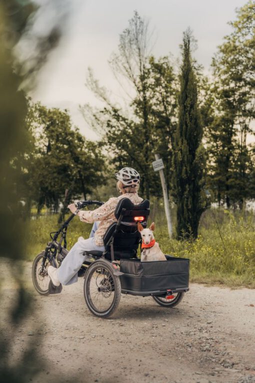Hasebikes Kettwiesel ONE UP – Bild 7