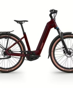 Conway Cairon C 1.0 B SUV eBike - leise & sauber