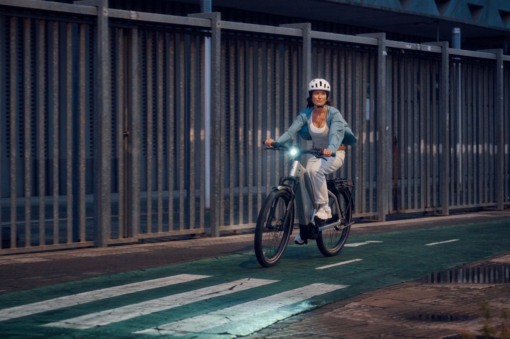 Riese und Müller Charger5 eBike - Agiler Alleskönner – Bild 14