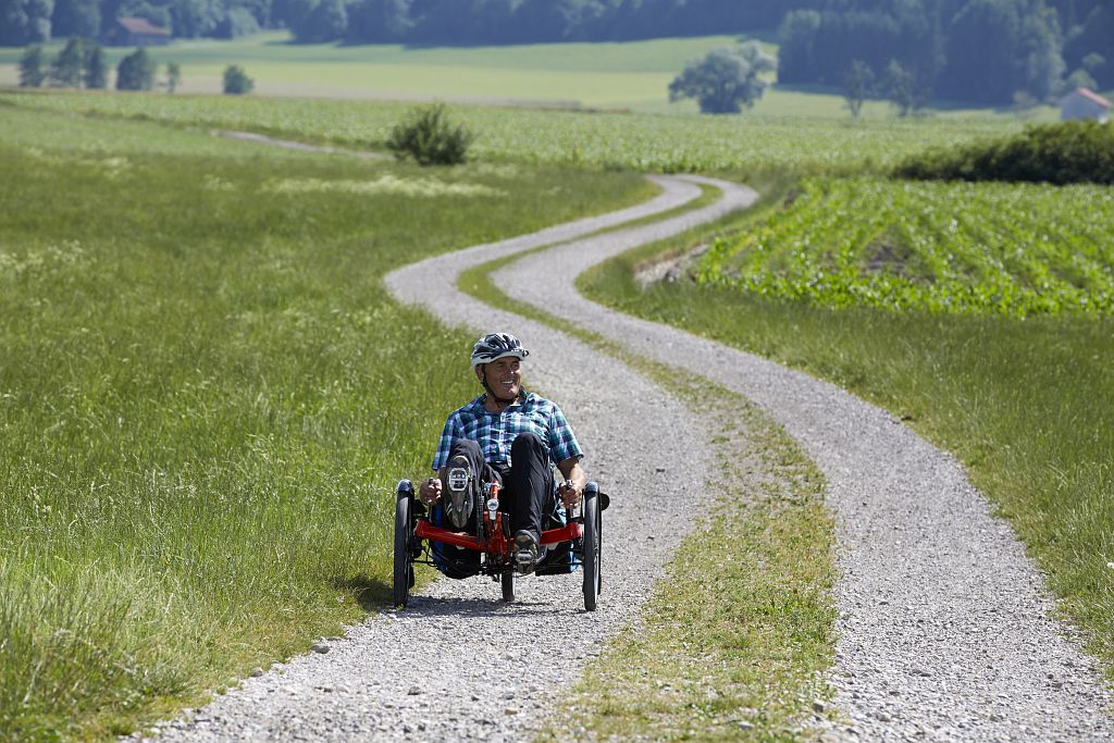 HP Velotechnik Scorpion fx 20 Trike - faltbar, mittelhoch und reisetauglich – Bild 7